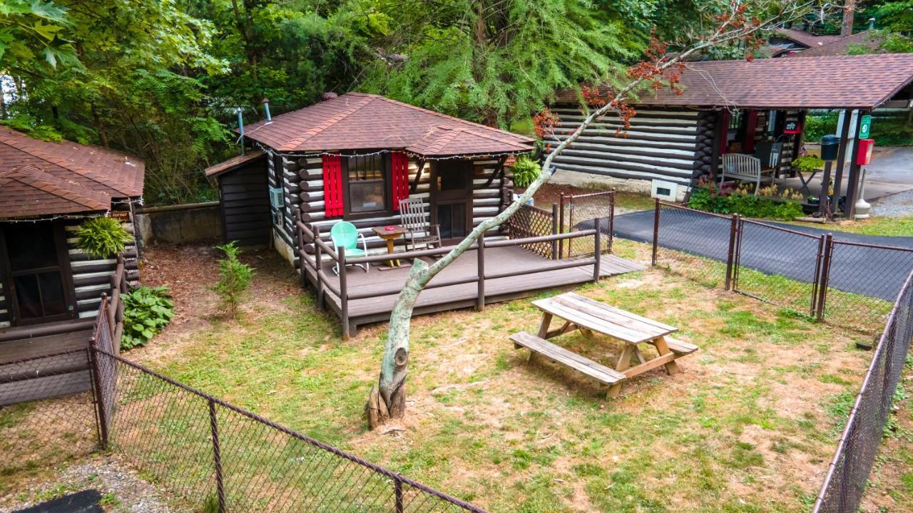 Log Motor Court